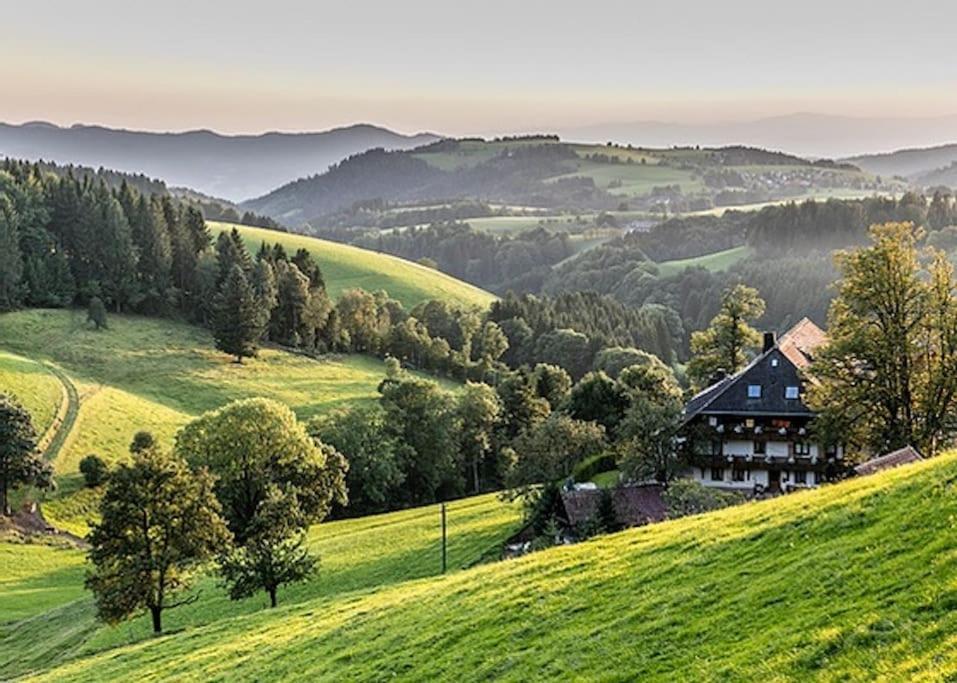 Ferienwohnung Niki Titisee-Neustadt Exteriör bild