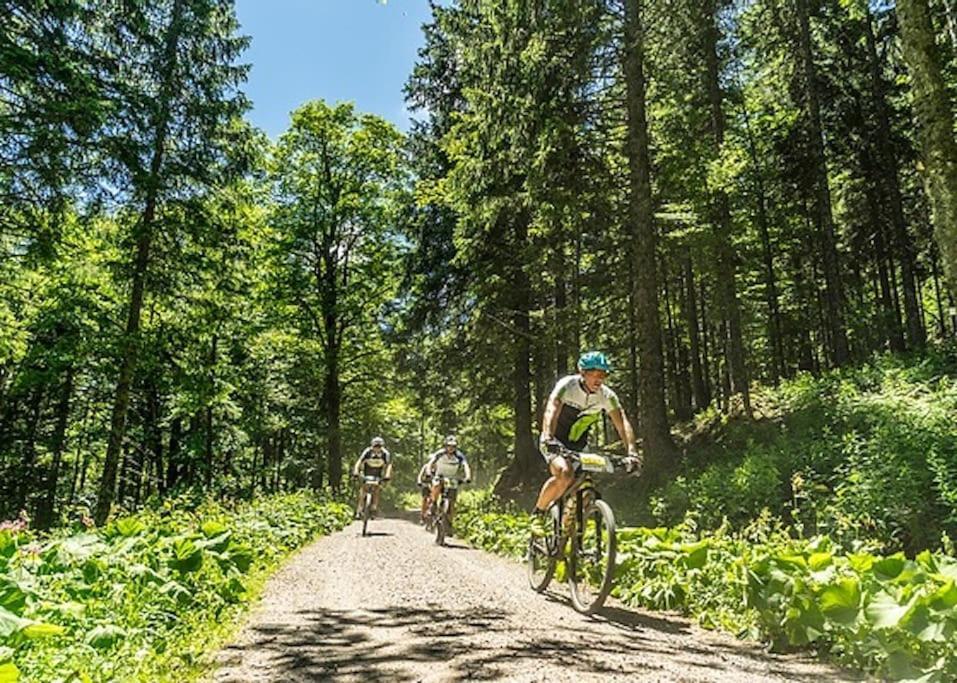 Ferienwohnung Niki Titisee-Neustadt Exteriör bild