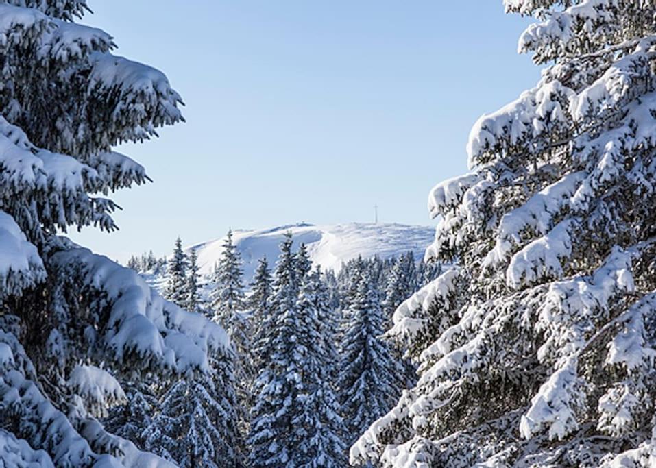 Ferienwohnung Niki Titisee-Neustadt Exteriör bild