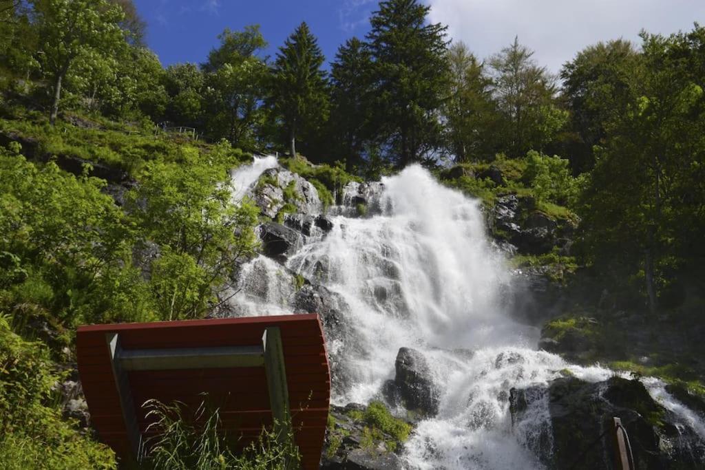 Ferienwohnung Niki Titisee-Neustadt Exteriör bild