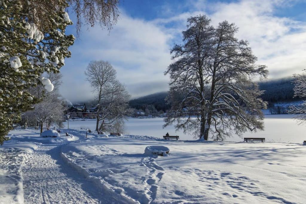 Ferienwohnung Niki Titisee-Neustadt Exteriör bild