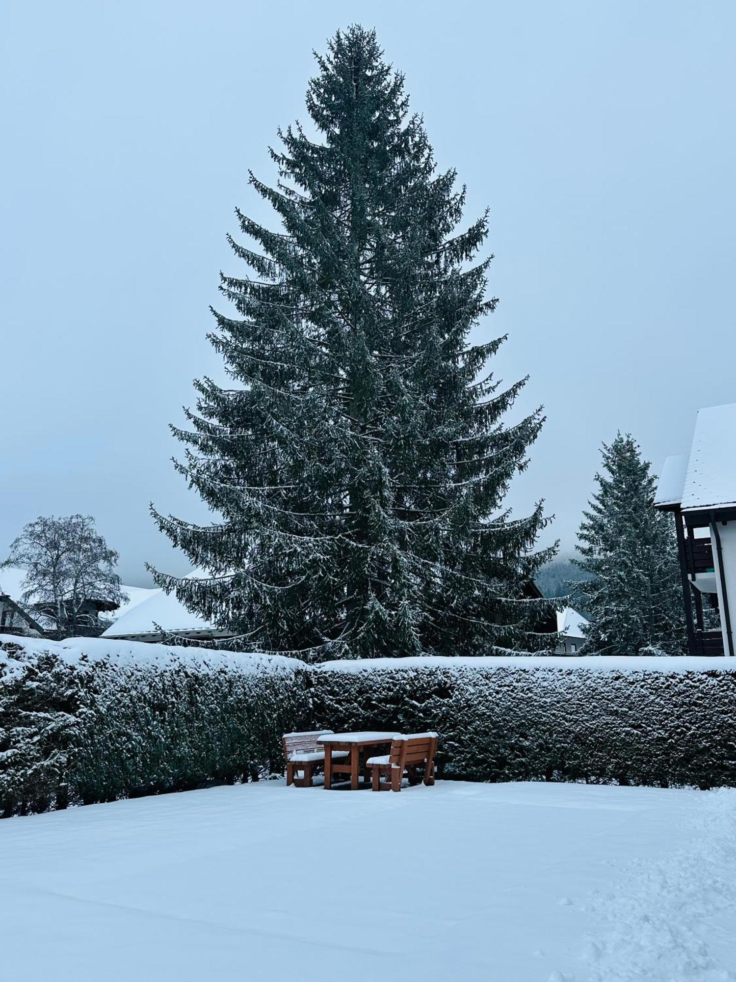 Ferienwohnung Niki Titisee-Neustadt Exteriör bild